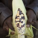 GRybus_CultivatingCommunity-0148